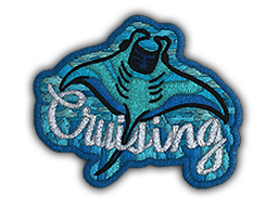 Нашивка | Cruising Ray