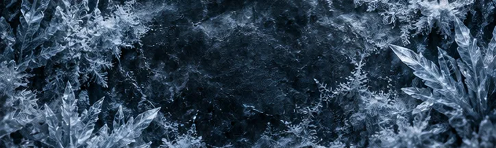 Оформление | Banner · Frost