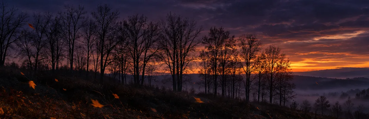 Оформление | Banner · Dusk
