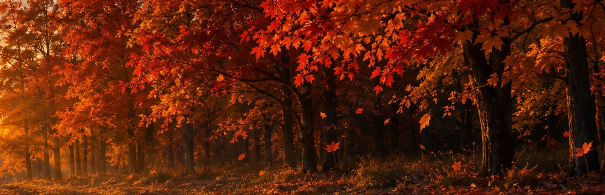 Оформление | Banner · Leaffall