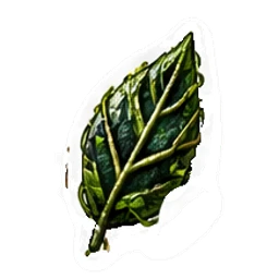 Оформление | Sticker · Jungle 12
