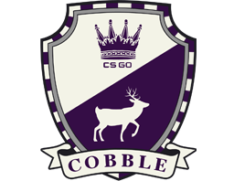Сувенирный пакет | Cobblestone