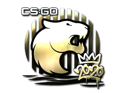 Наклейка | FURIA (Gold) | 2020 RMR