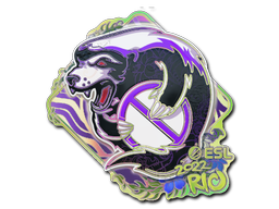 Наклейка | Outsiders (Holo) | Rio 2022