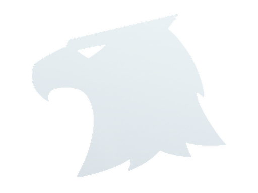 Наклейка | Raptors