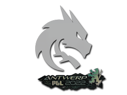 Наклейка | Team Spirit | Antwerp 2022