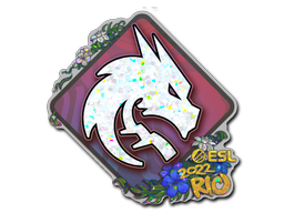 Наклейка | Team Spirit (Glitter) | Rio 2022