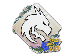 Наклейка | Team Spirit | Rio 2022